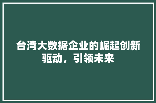 台湾大数据企业的崛起创新驱动，引领未来 电脑故障维修