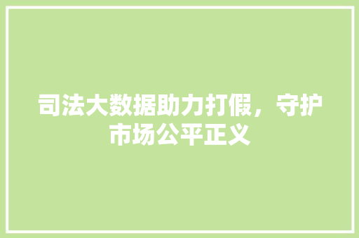 司法大数据助力打假，守护市场公平正义 电脑基础