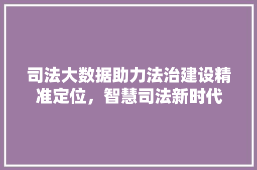 司法大数据助力法治建设精准定位，智慧司法新时代 操作系统