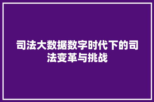 司法大数据数字时代下的司法变革与挑战
