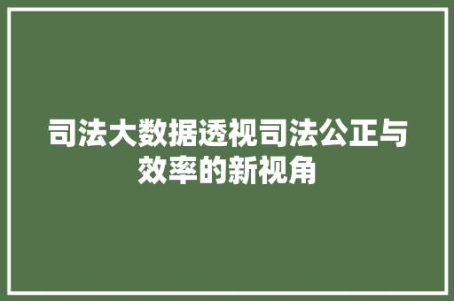 司法大数据透视司法公正与效率的新视角 司法大数据透视司法公正与效率的新视角