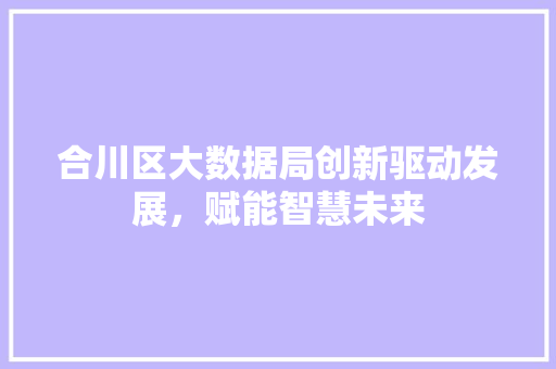合川区大数据局创新驱动发展,赋能智慧未来 合川区大数据局创新驱动发展,赋能智慧未来