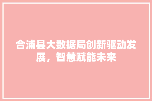 合浦县大数据局创新驱动发展，智慧赋能未来