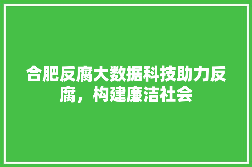 合肥反腐大数据科技助力反腐,构建廉洁社会 合肥反腐大数据科技助力反腐,构建廉洁社会