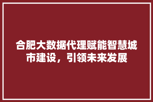 合肥大数据代理赋能智慧城市建设，引领未来发展