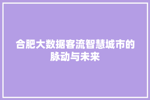 合肥大数据客流智慧城市的脉动与未来