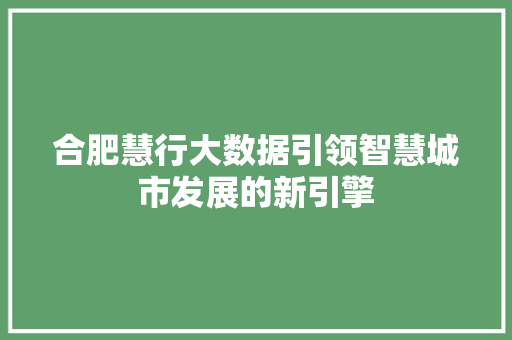 合肥慧行大数据引领智慧城市发展的新引擎