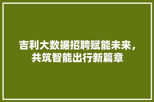 吉利大数据招聘赋能未来，共筑智能出行新篇章