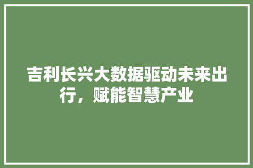 吉利长兴大数据驱动未来出行，赋能智慧产业