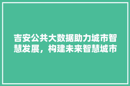 吉安公共大数据助力城市智慧发展，构建未来智慧城市新蓝图
