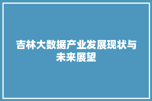 吉林大数据产业发展现状与未来展望 编程语言