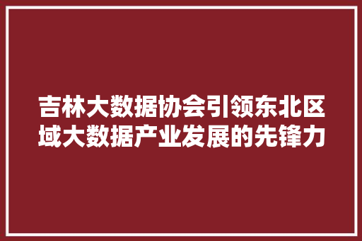 吉林大数据协会引领东北区域大数据产业发展的先锋力量 电脑配置