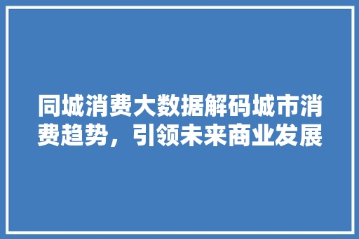 同城消费大数据解码城市消费趋势，引领未来商业发展 编程语言