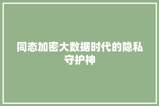 同态加密大数据时代的隐私守护神
