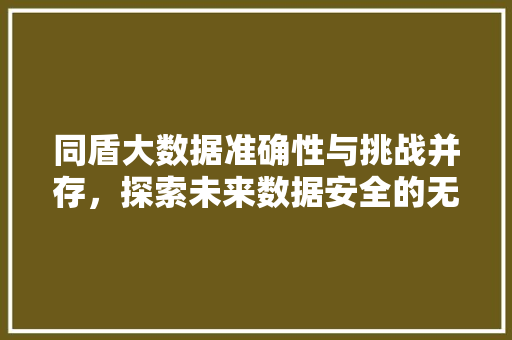 同盾大数据准确性与挑战并存，探索未来数据安全的无限可能 编程语言