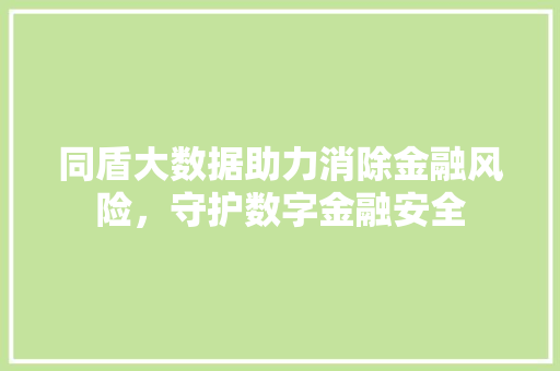 同盾大数据助力消除金融风险，守护数字金融安全 网络技术