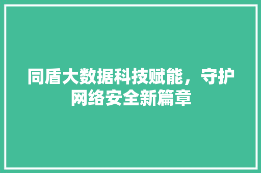 同盾大数据科技赋能，守护网络安全新篇章