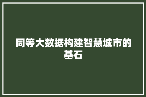 同等大数据构建智慧城市的基石 操作系统