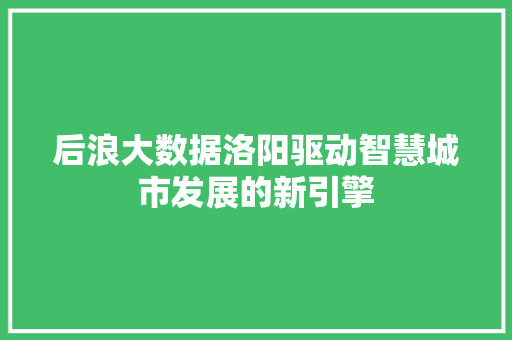 后浪大数据洛阳驱动智慧城市发展的新引擎 编程语言