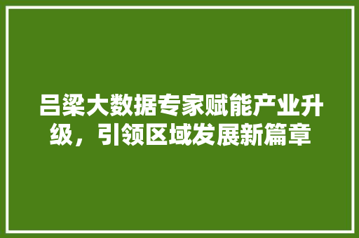 吕梁大数据专家赋能产业升级,引领区域发展新篇章 电脑基础 吕梁大数据专家赋能产业升级,引领区域发展新篇章 电脑基础