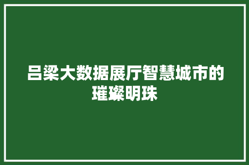 吕梁大数据展厅智慧城市的璀璨明珠 编程语言