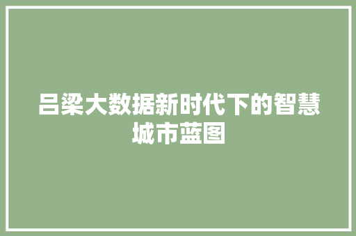 吕梁大数据新时代下的智慧城市蓝图 电脑故障维修
