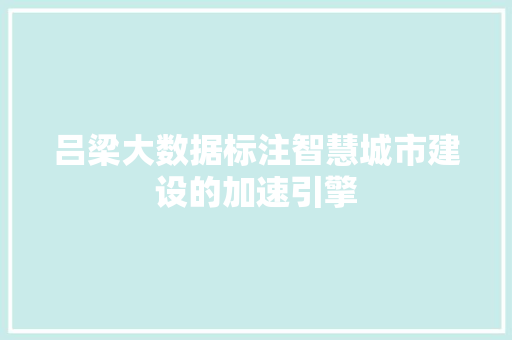 吕梁大数据标注智慧城市建设的加速引擎 网络技术