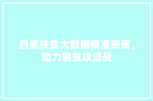 吕梁扶贫大数据精准施策，助力脱贫攻坚战 电脑基础