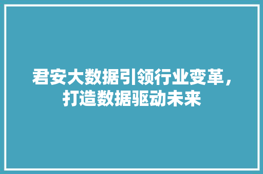 君安大数据引领行业变革，打造数据驱动未来 网络技术