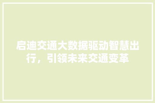 启迪交通大数据驱动智慧出行，引领未来交通变革 编程语言