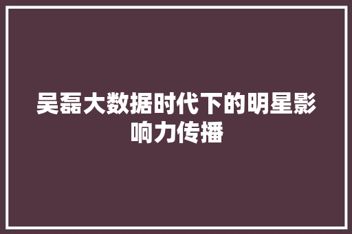 吴磊大数据时代下的明星影响力传播 编程语言