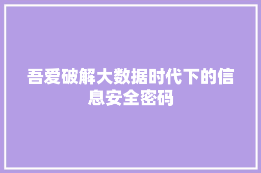 吾爱破解大数据时代下的信息安全密码 网络技术