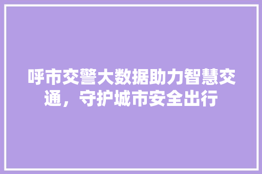 呼市交警大数据助力智慧交通，守护城市安全出行 电脑故障维修