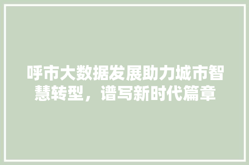 呼市大数据发展助力城市智慧转型，谱写新时代篇章 电脑配置
