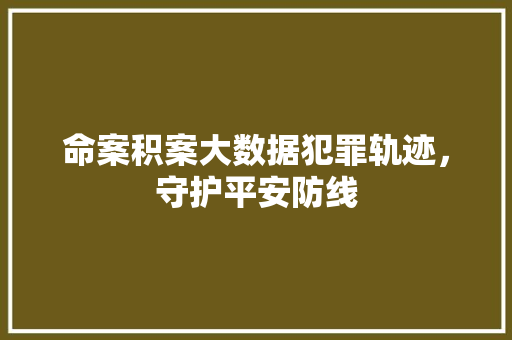 命案积案大数据犯罪轨迹，守护平安防线 编程语言