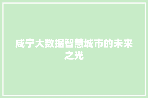 咸宁大数据智慧城市的未来之光 电脑基础