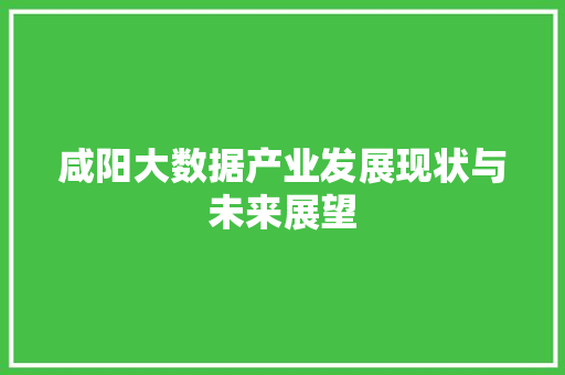 咸阳大数据产业发展现状与未来展望 网络技术