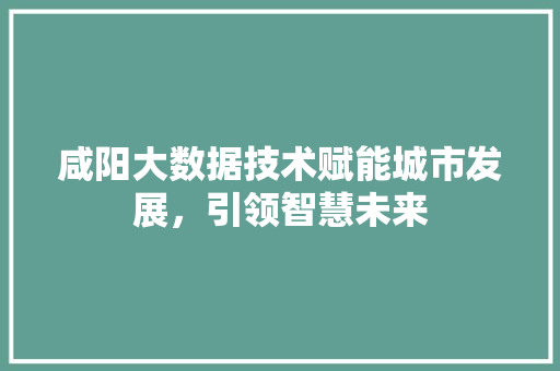 咸阳大数据技术赋能城市发展，引领智慧未来 电脑配置