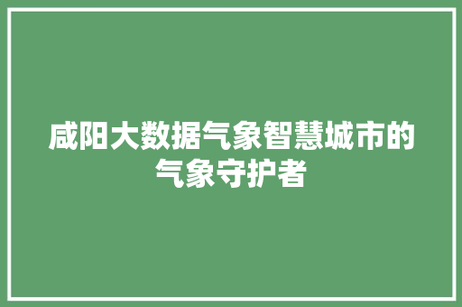 咸阳大数据气象智慧城市的气象守护者 电脑配置 咸阳大数据气象智慧城市的气象守护者 电脑配置