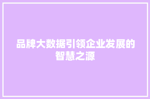 品牌大数据引领企业发展的智慧之源 电脑基础
