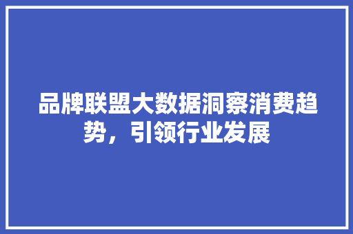 品牌联盟大数据洞察消费趋势，引领行业发展 电脑配置