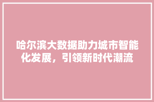 哈尔滨大数据助力城市智能化发展，引领新时代潮流 编程语言
