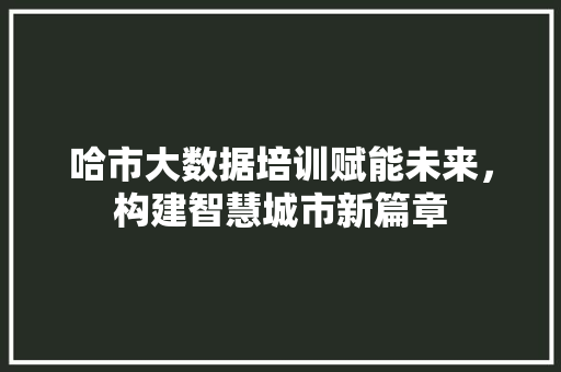 哈市大数据培训赋能未来,构建智慧城市新篇章 电脑配置 哈市大数据培训赋能未来,构建智慧城市新篇章 电脑配置