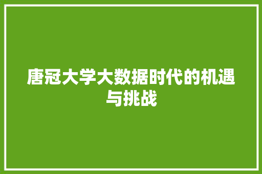 唐冠大学大数据时代的机遇与挑战 电脑配置 唐冠大学大数据时代的机遇与挑战 电脑配置