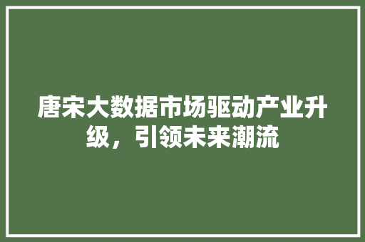 唐宋大数据市场驱动产业升级,引领未来潮流 电脑故障维修 唐宋大数据市场驱动产业升级,引领未来潮流 电脑故障维修