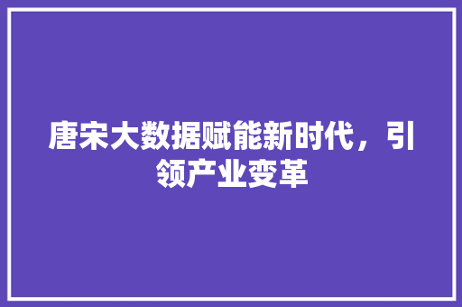 唐宋大数据赋能新时代，引领产业变革 电脑故障维修