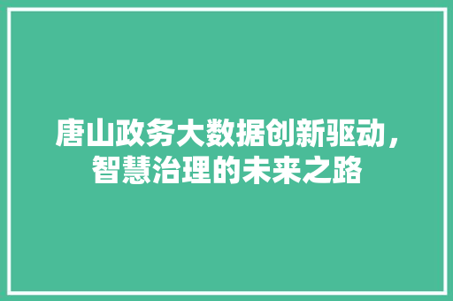唐山政务大数据创新驱动，智慧治理的未来之路 电脑配置