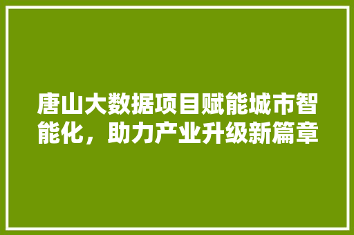 唐山大数据项目赋能城市智能化，助力产业升级新篇章 电脑配置
