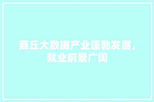 商丘大数据产业蓬勃发展，就业前景广阔 电脑基础