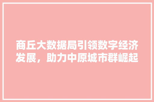 商丘大数据局引领数字经济发展，助力中原城市群崛起 电脑故障维修